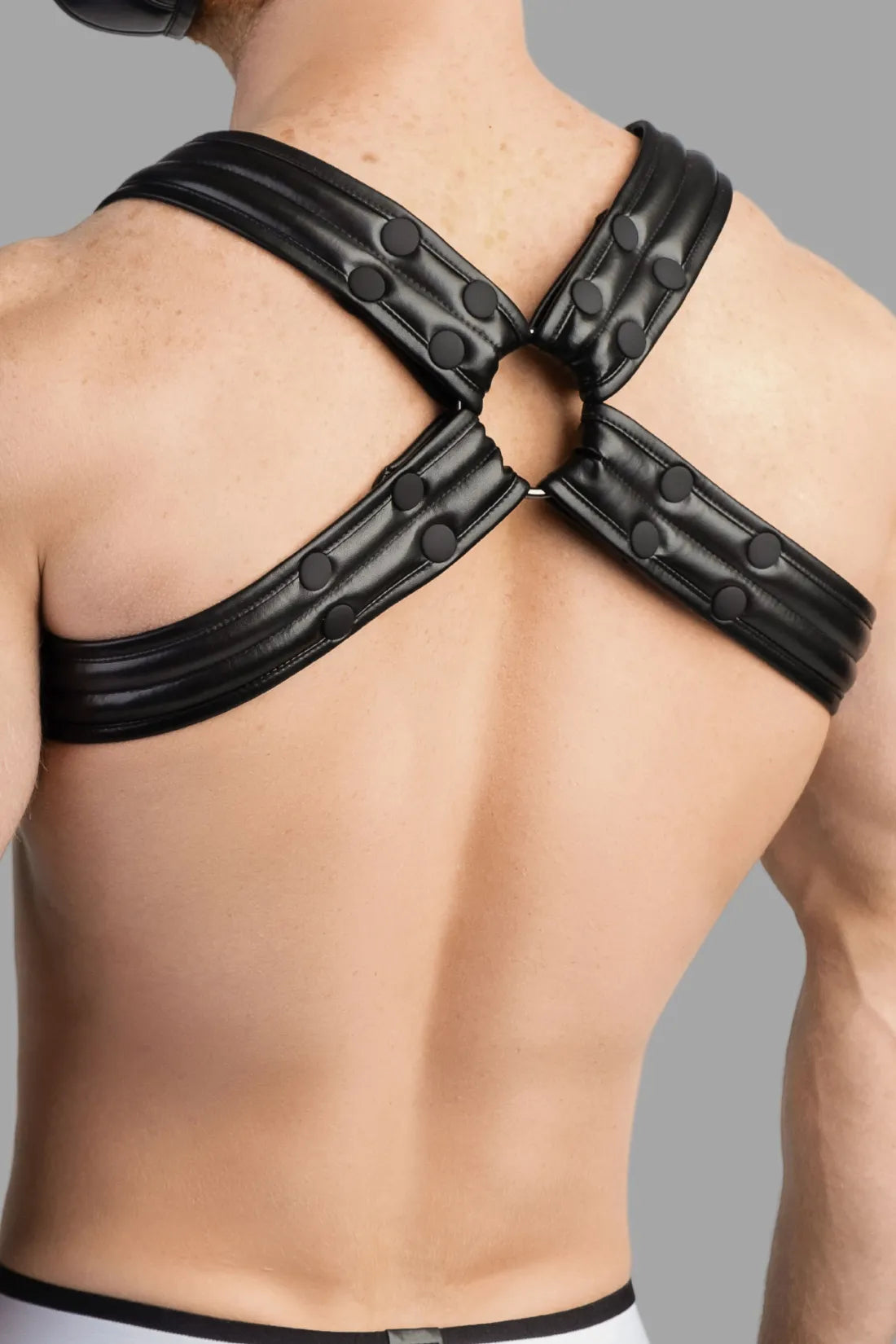 Armored Next. Men's Fetish Bulldog Harness. Black