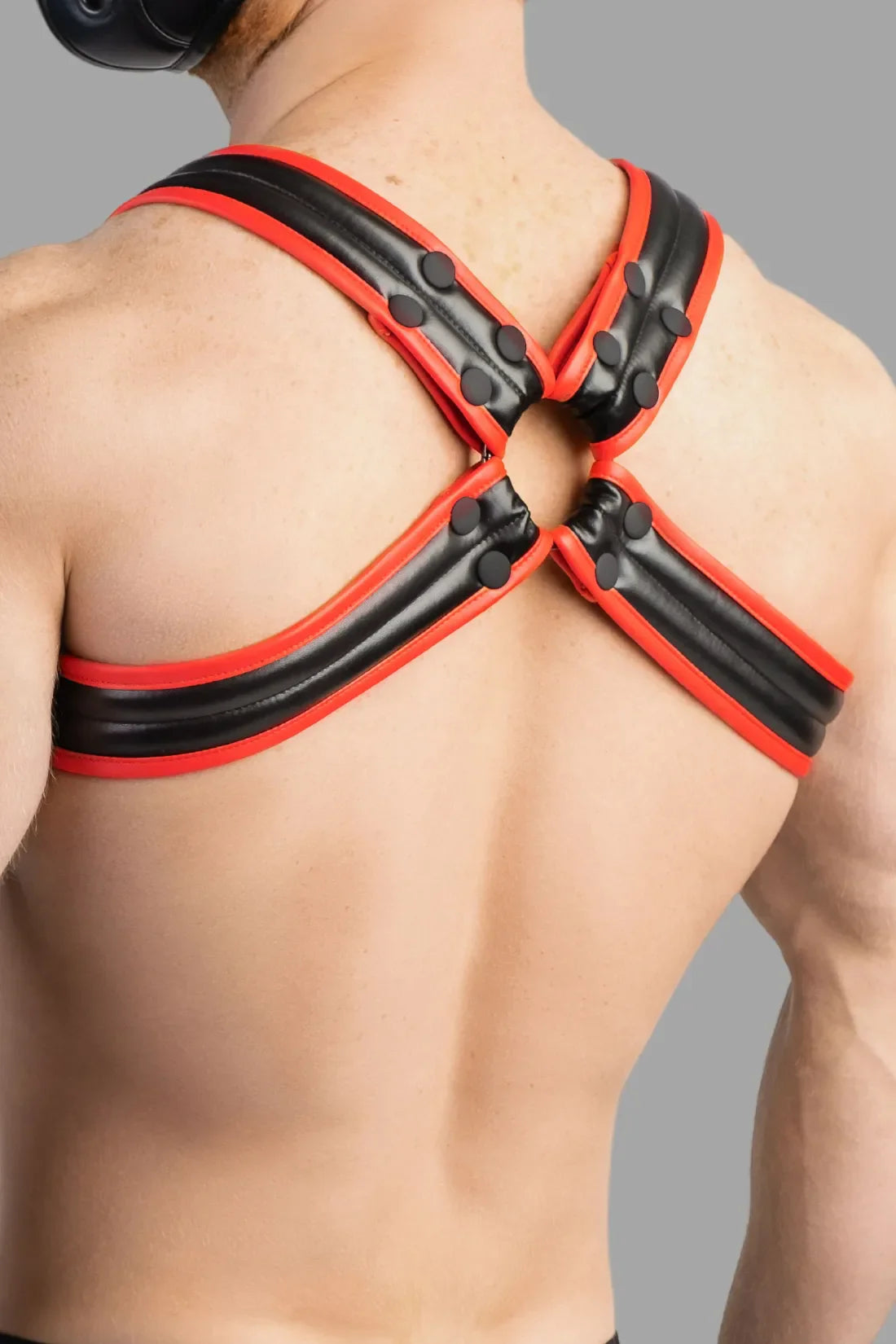 Armored Next. Men's Fetish Bulldog Harness. Red & Black