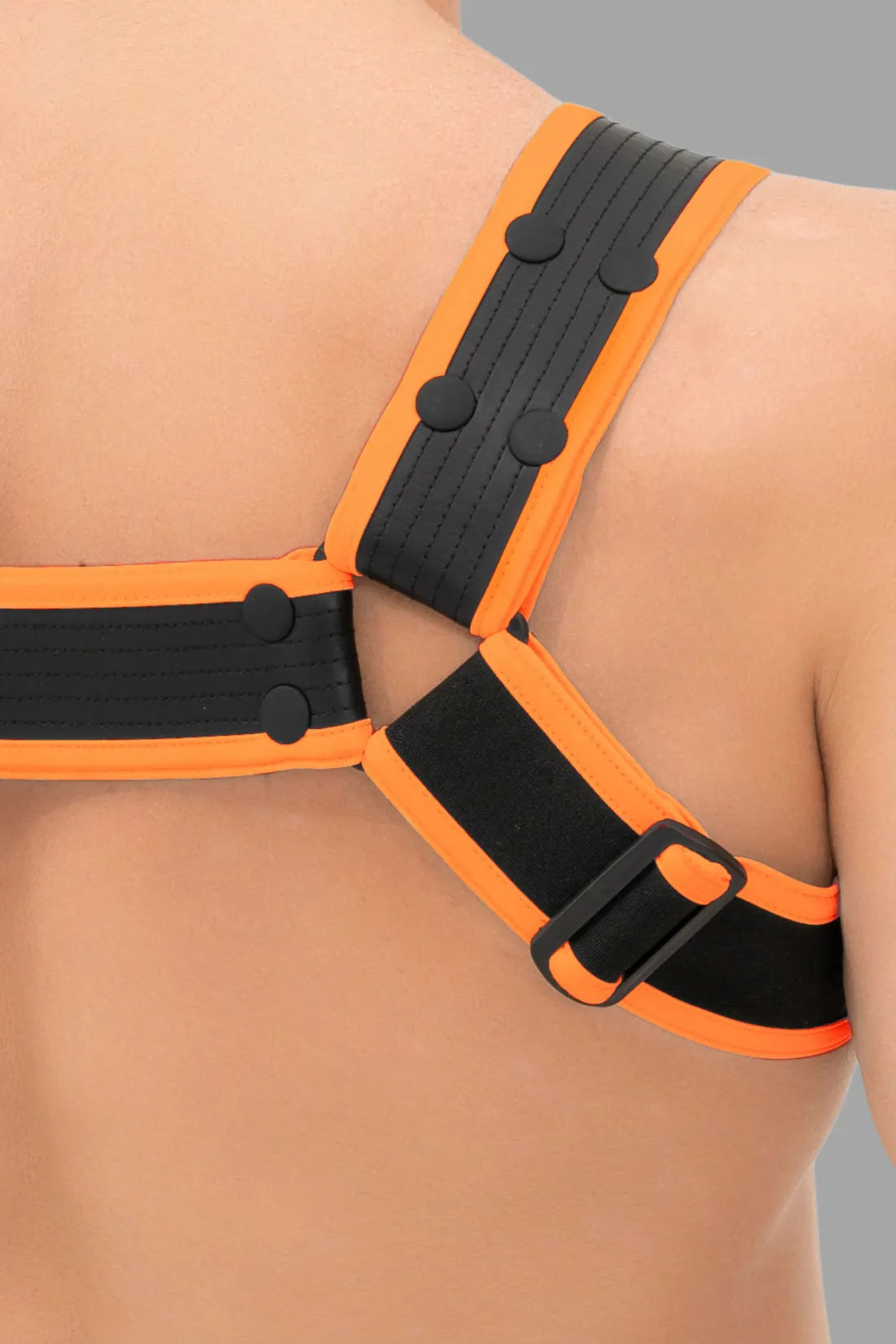 Outtox. Bulldog Harness with Snaps. Black & Orange